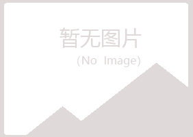 五大连池掠过电讯有限公司